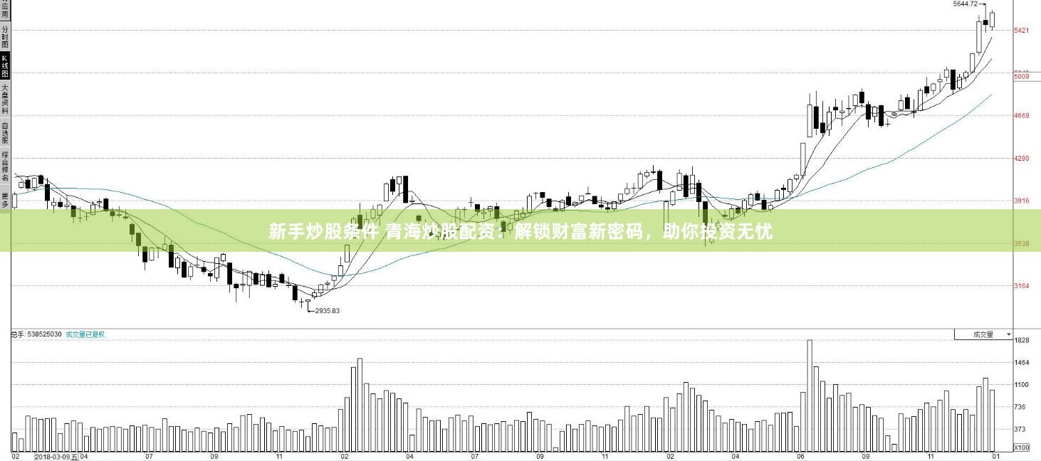 新手炒股条件 青海炒股配资：解锁财富新密码，助你投资无忧