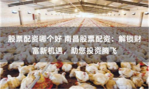 股票配资哪个好 南昌股票配资：解锁财富新机遇，助您投资腾飞
