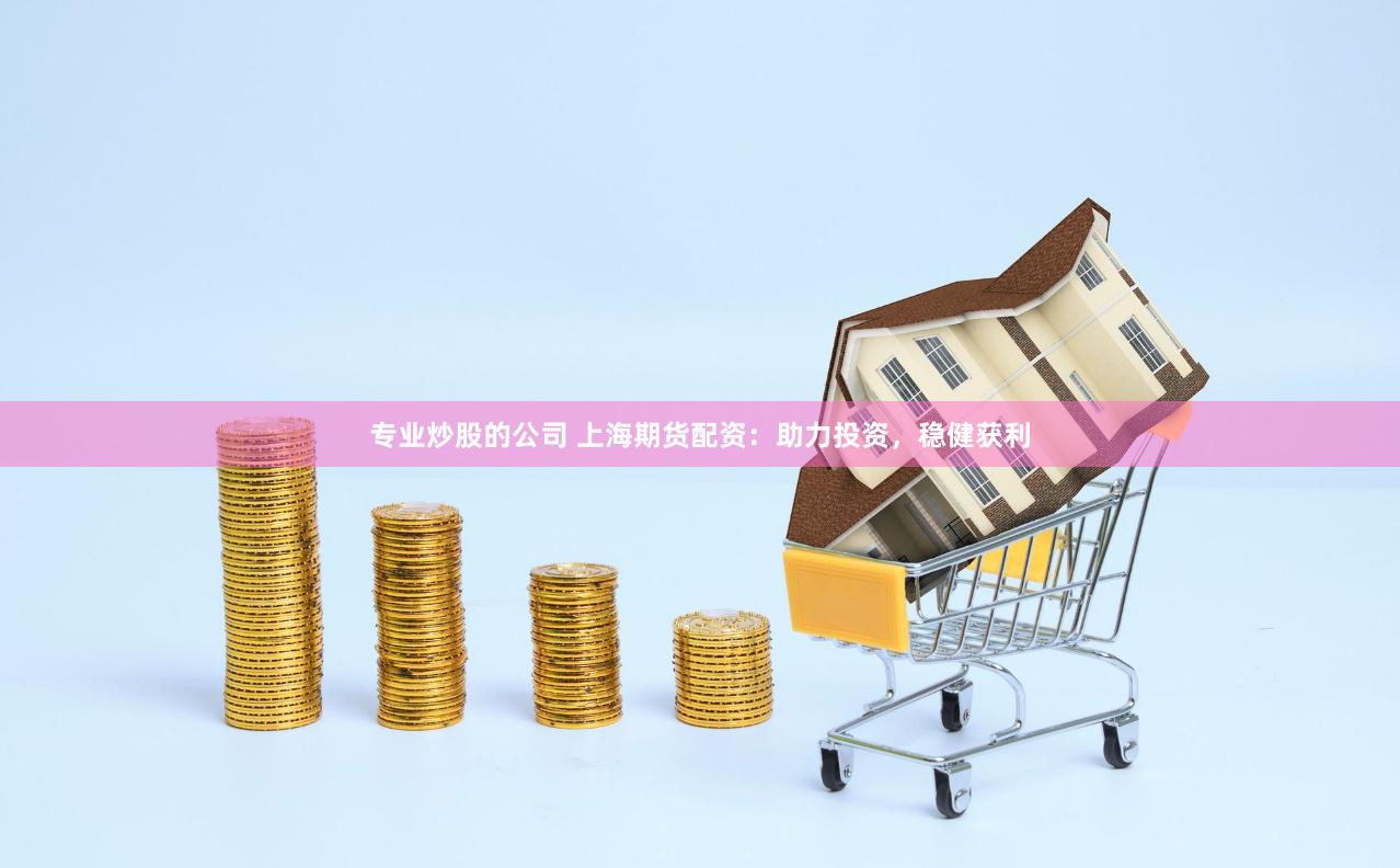 专业炒股的公司 上海期货配资：助力投资，稳健获利