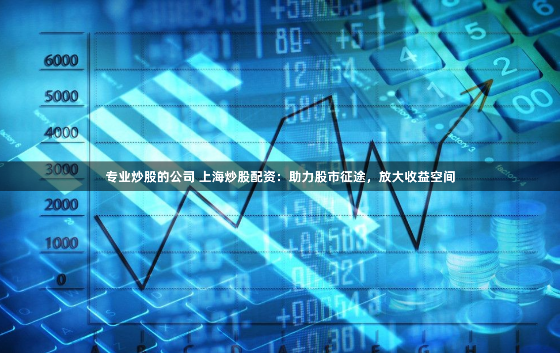专业炒股的公司 上海炒股配资：助力股市征途，放大收益空间